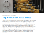 5 Issues in IM&E